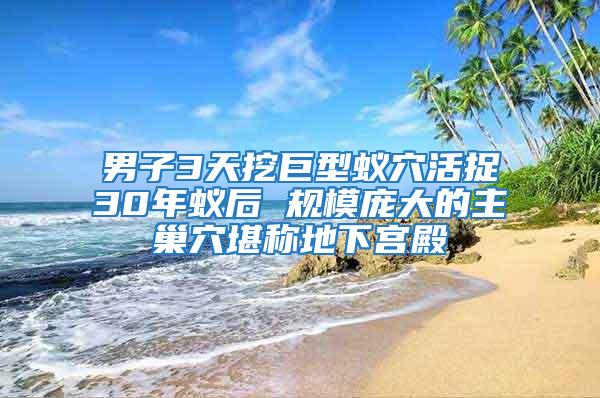 男子3天挖巨型蟻穴活捉30年蟻后 規模龐大的主巢穴堪稱地下宮殿