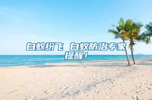 白蟻紛飛 白蟻防治專家提醒！