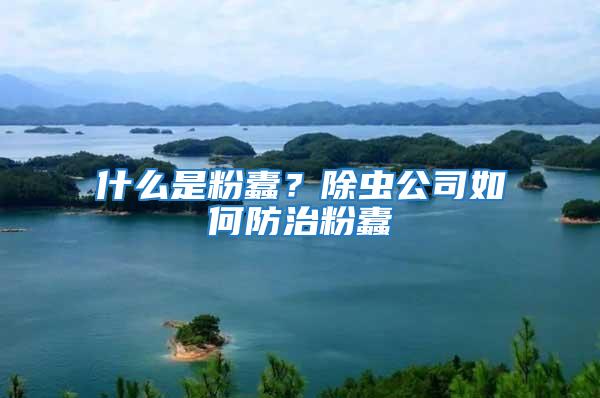 什么是粉蠹？除蟲公司如何防治粉蠹