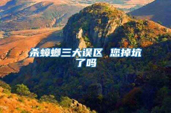殺蟑螂三大誤區 您掉坑了嗎