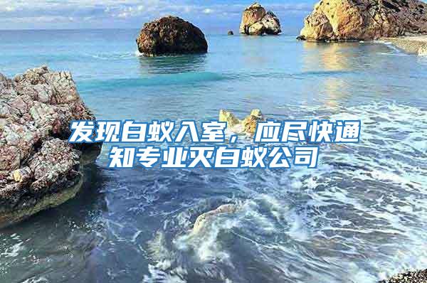 發(fā)現(xiàn)白蟻入室，應(yīng)盡快通知專業(yè)滅白蟻公司