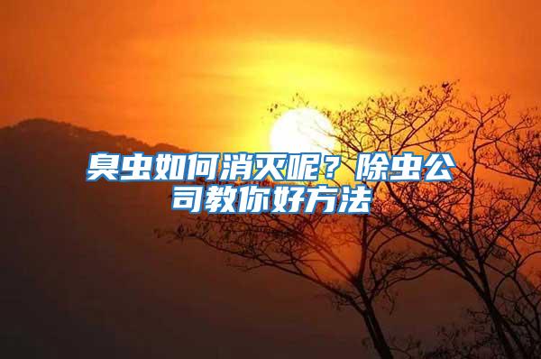 臭蟲如何消滅呢？除蟲公司教你好方法