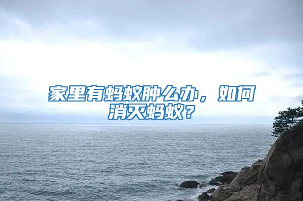 家里有螞蟻腫么辦，如何消滅螞蟻？
