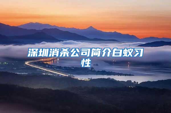 深圳消殺公司簡介白蟻習性