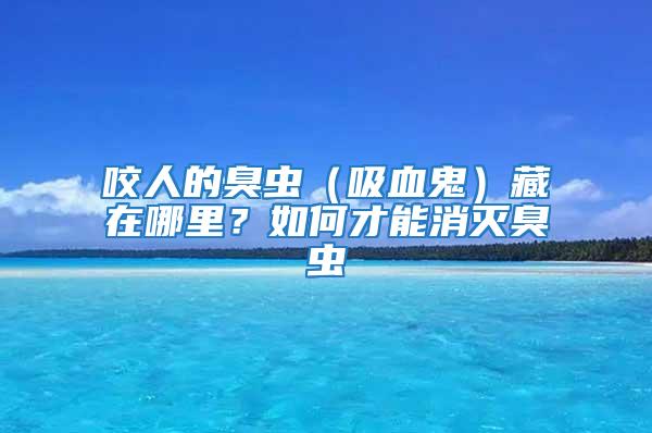 咬人的臭蟲（吸血鬼）藏在哪里？如何才能消滅臭蟲