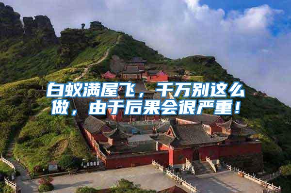 白蟻滿屋飛，千萬別這么做，由于后果會很嚴重！
