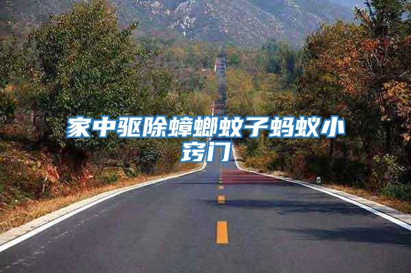 家中驅除蟑螂蚊子螞蟻小竅門