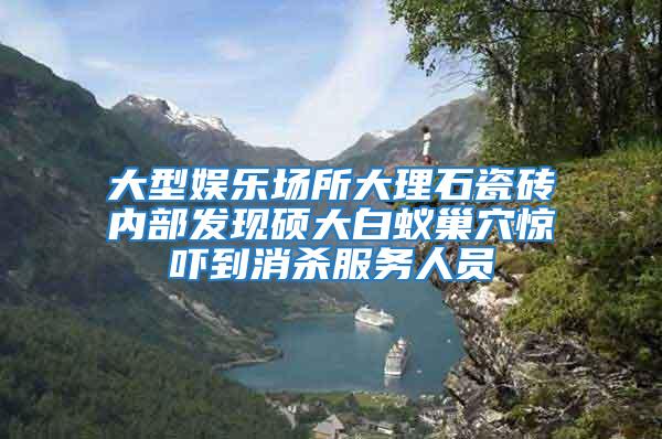 大型娛樂場所大理石瓷磚內部發現碩大白蟻巢穴驚嚇到消殺服務人員