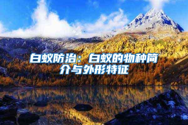 白蟻防治：白蟻的物種簡介與外形特征