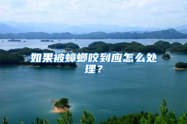 如果被蟑螂咬到應(yīng)怎么處理？