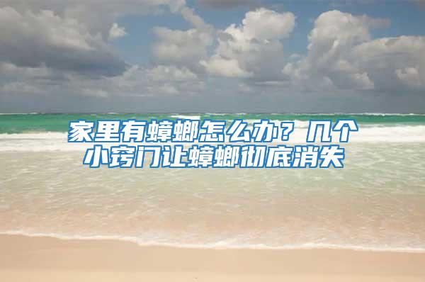 家里有蟑螂怎么辦？幾個小竅門讓蟑螂徹底消失