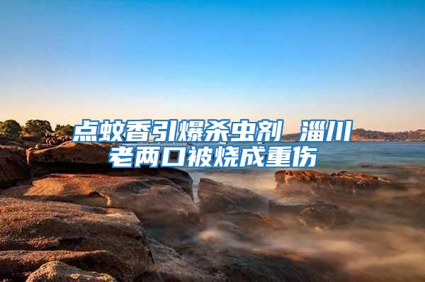 點蚊香引爆殺蟲劑 淄川老兩口被燒成重傷