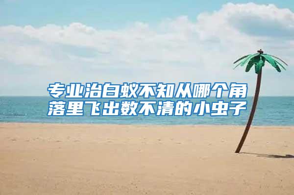 專業治白蟻不知從哪個角落里飛出數不清的小蟲子