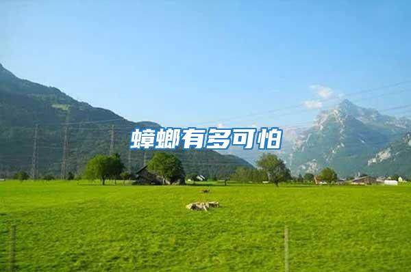 蟑螂有多可怕