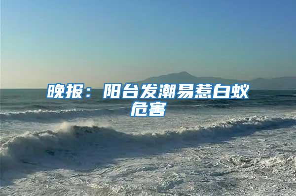 晚報：陽臺發潮易惹白蟻危害