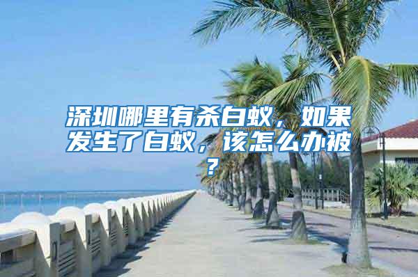 深圳哪里有殺白蟻，如果發生了白蟻，該怎么辦被？