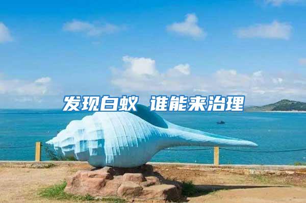 發現白蟻 誰能來治理
