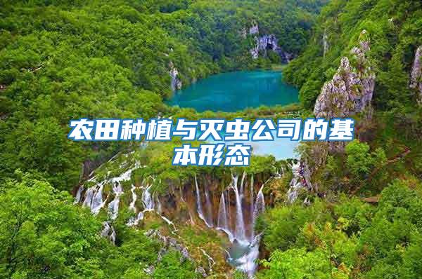 農田種植與滅蟲公司的基本形態