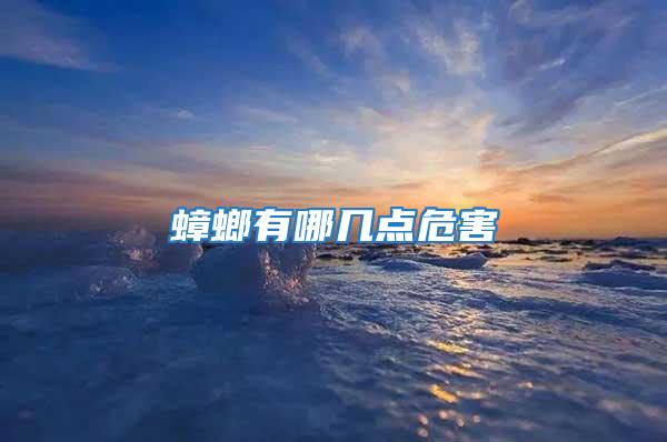 蟑螂有哪幾點危害
