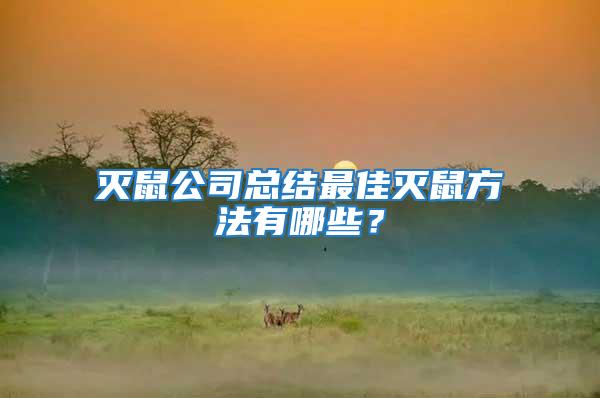 滅鼠公司總結最佳滅鼠方法有哪些？