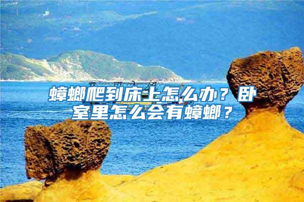 蟑螂爬到床上怎么辦？臥室里怎么會有蟑螂？