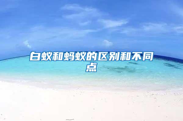 白蟻和螞蟻的區別和不同點
