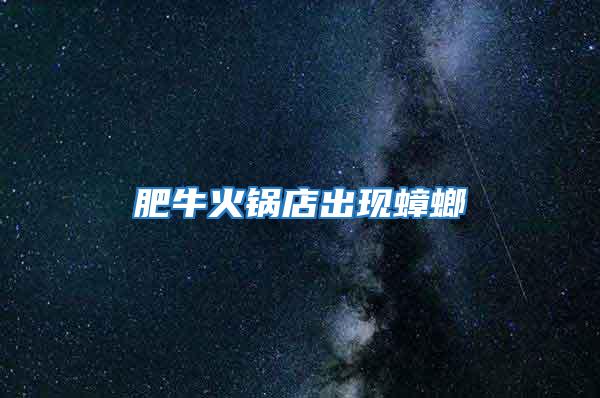肥牛火鍋店出現蟑螂