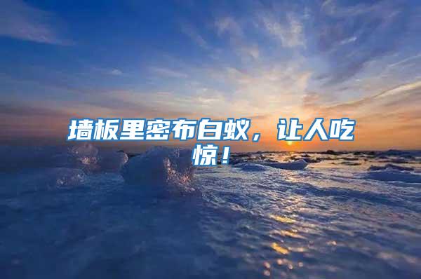 墻板里密布白蟻，讓人吃驚！