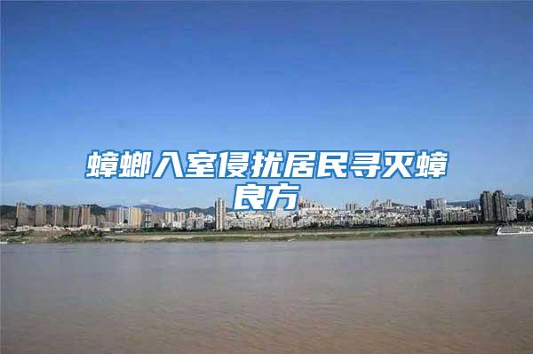 蟑螂入室侵擾居民尋滅蟑良方