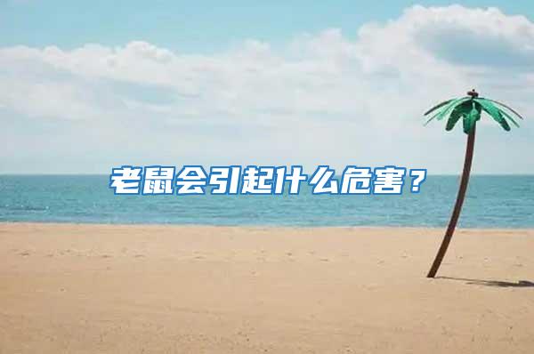 老鼠會引起什么危害？
