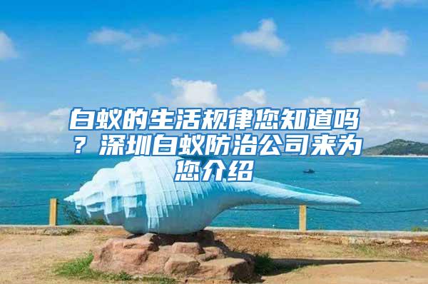 白蟻的生活規律您知道嗎？深圳白蟻防治公司來為您介紹
