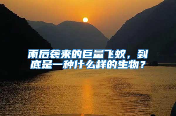 雨后襲來的巨量飛蟻，到底是一種什么樣的生物？
