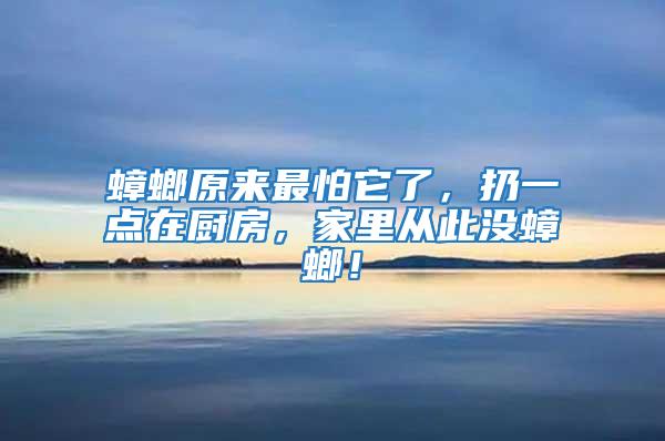 蟑螂原來最怕它了，扔一點(diǎn)在廚房，家里從此沒蟑螂！