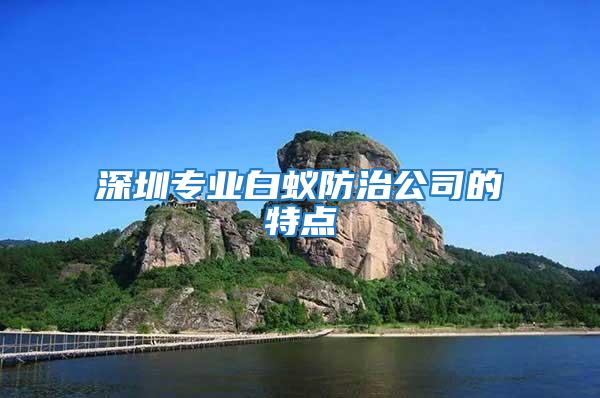 深圳專業白蟻防治公司的特點