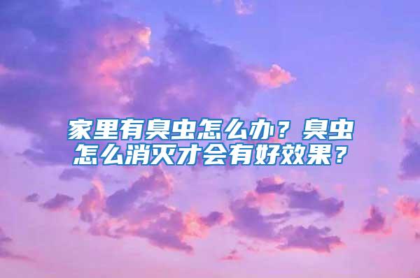 家里有臭蟲(chóng)怎么辦？臭蟲(chóng)怎么消滅才會(huì)有好效果？