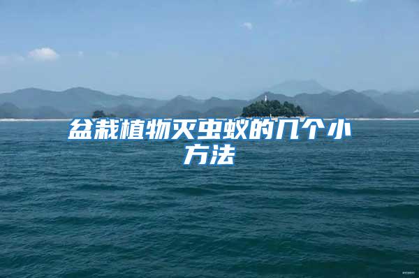 盆栽植物滅蟲蟻的幾個(gè)小方法