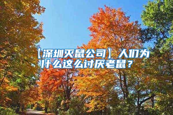 【深圳滅鼠公司】人們為什么這么討厭老鼠？