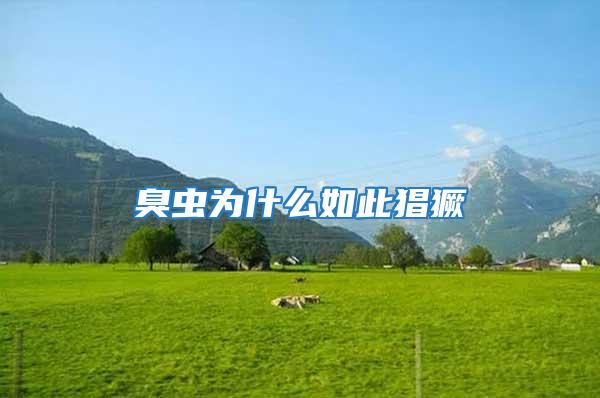 臭蟲為什么如此猖獗