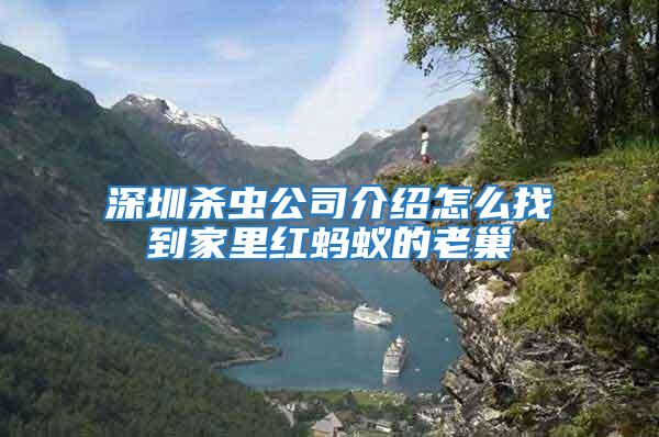 深圳殺蟲公司介紹怎么找到家里紅螞蟻的老巢