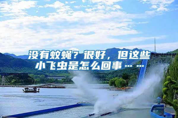 沒有蚊蠅？很好，但這些小飛蟲是怎么回事……