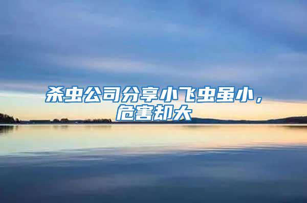 殺蟲公司分享小飛蟲雖小，危害卻大