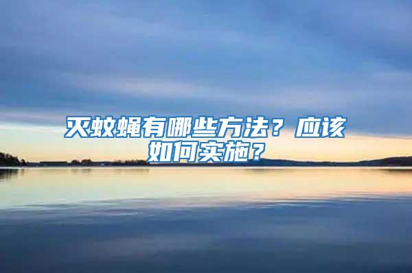 滅蚊蠅有哪些方法？應該如何實施？
