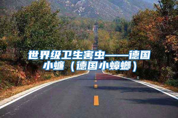 世界級衛(wèi)生害蟲——德國小蠊（德國小蟑螂）