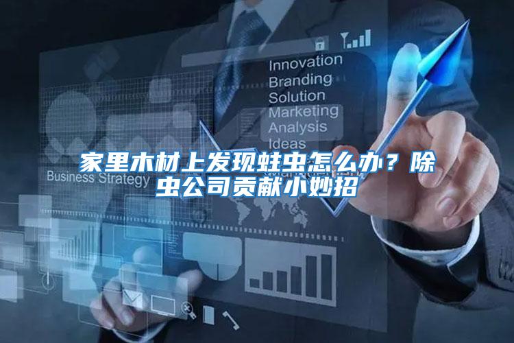 家里木材上發現蛀蟲怎么辦？除蟲公司貢獻小妙招