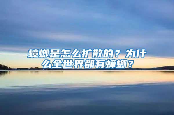蟑螂是怎么擴散的？為什么全世界都有蟑螂？