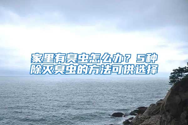 家里有臭蟲怎么辦？5種除滅臭蟲的方法可供選擇