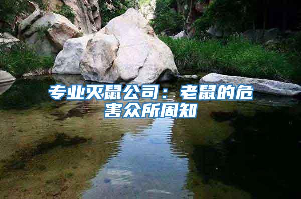 專業滅鼠公司：老鼠的危害眾所周知