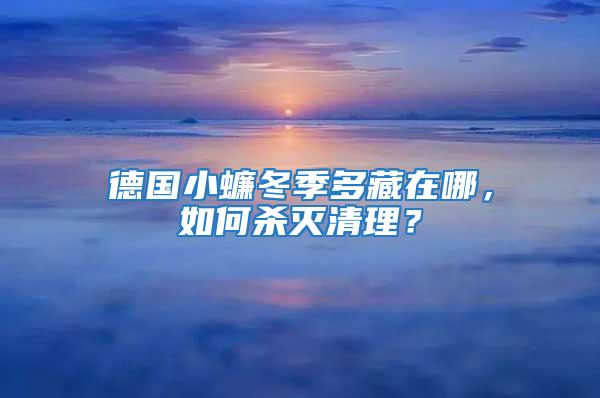 德國小蠊冬季多藏在哪，如何殺滅清理？