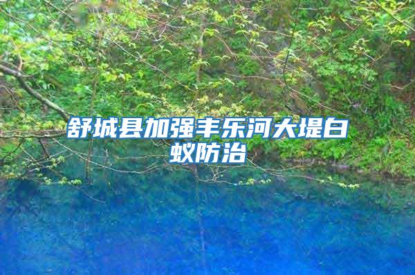 舒城縣加強豐樂河大堤白蟻防治