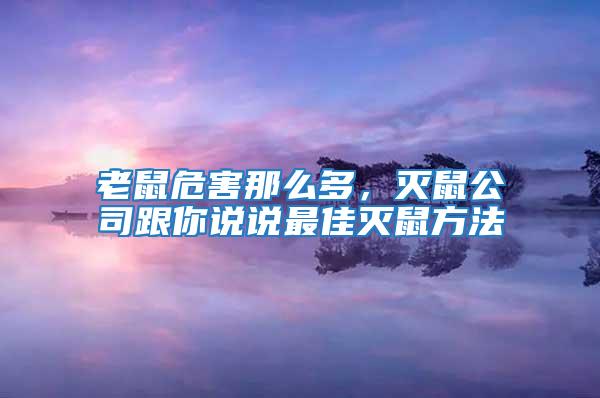 老鼠危害那么多，滅鼠公司跟你說說最佳滅鼠方法